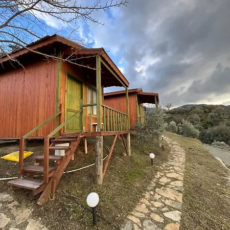 Sirince Citak Konaklari - 3 B&B *